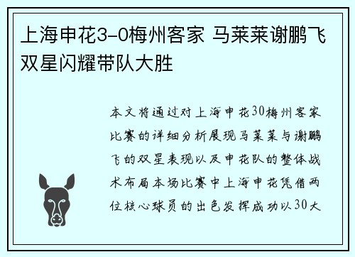 上海申花3-0梅州客家 马莱莱谢鹏飞双星闪耀带队大胜 上海申花3-0梅州客家 马莱莱谢鹏飞双星闪耀带队大胜
