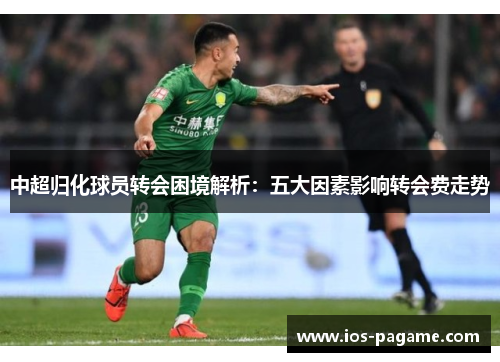 中超归化球员转会困境解析:五大因素影响转会费走势 中超归化球员转会困境解析:五大因素影响转会费走势