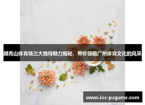 越秀山体育场三大独特魅力揭秘,带你领略广州体育文化的风采 越秀山体育场三大独特魅力揭秘,带你领略广州体育文化的风采