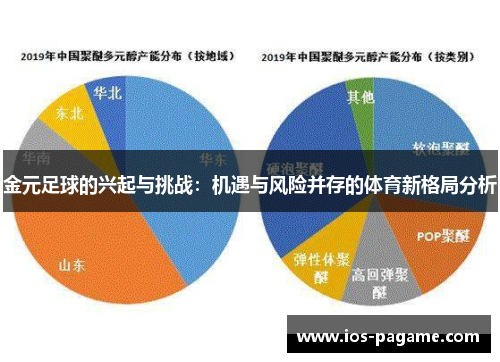 金元足球的兴起与挑战:机遇与风险并存的体育新格局分析 金元足球的兴起与挑战:机遇与风险并存的体育新格局分析