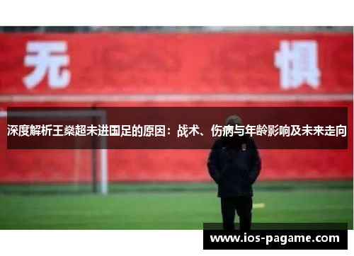 深度解析王燊超未进国足的原因:战术、伤病与年龄影响及未来走向 深度解析王燊超未进国足的原因:战术、伤病与年龄影响及未来走向