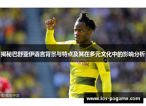 揭秘巴舒亚伊语言背景与特点及其在多元文化中的影响分析