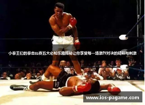 小拳王们的拳击比赛五大必知乐趣揭秘让你享受每一场激烈对决的精彩与刺激