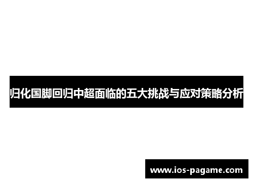 归化国脚回归中超面临的五大挑战与应对策略分析