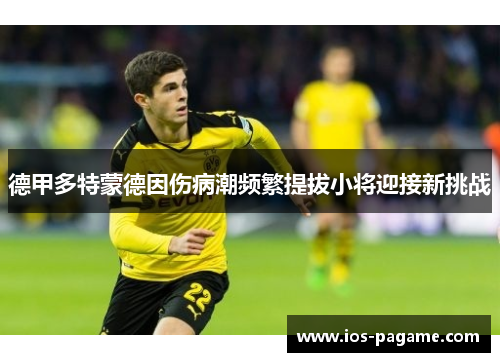 德甲多特蒙德因伤病潮频繁提拔小将迎接新挑战