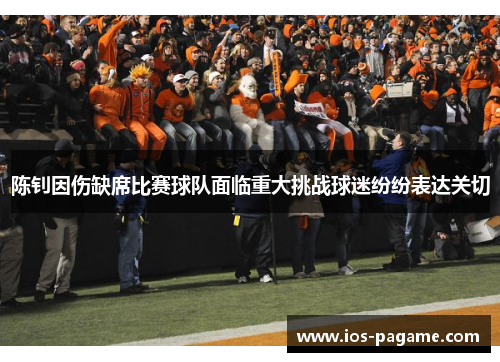 陈钊因伤缺席比赛球队面临重大挑战球迷纷纷表达关切